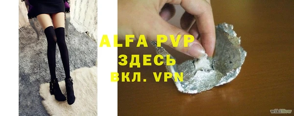 PSILOCYBIN Покачи