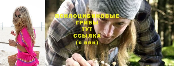 синтетический гашиш Протвино